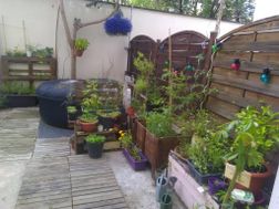 Photo n°4