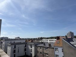 Photo n°6