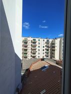 Photo n°5