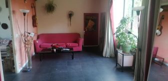 Photo n°5
