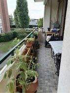 Photo n°3