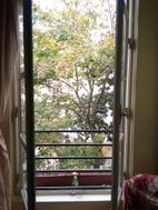 Photo n°6