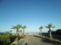 Photo n°2
