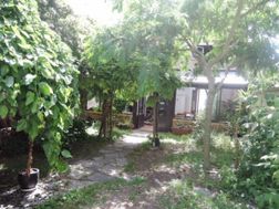 Photo n°1