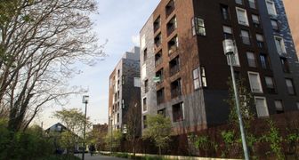 Photo n°7