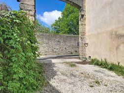 Photo n°6
