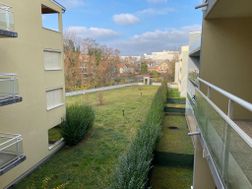 Photo n°1