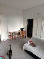 Photo n°6