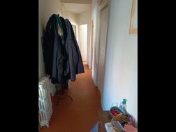 Photo n°6