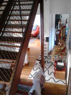 Photo n°3