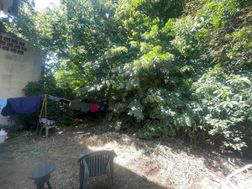 Photo n°6