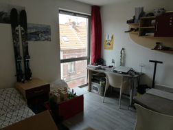 Photo n°4