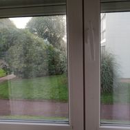 Photo n°5