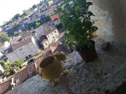 Photo n°1