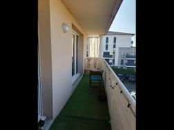 Photo n°11