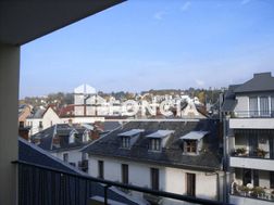 Photo n°8