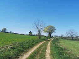 Photo n°1