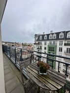 Photo n°6