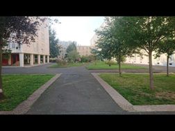 Photo n°9