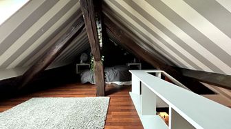 Photo n°6