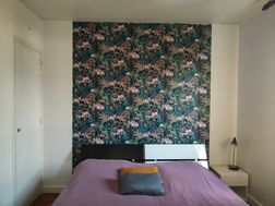 Photo n°4