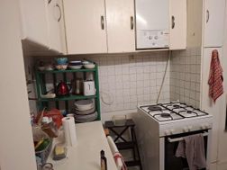 Photo n°5