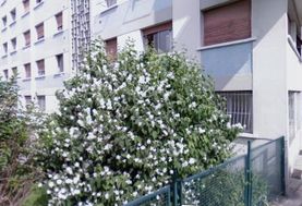 Photo n°7