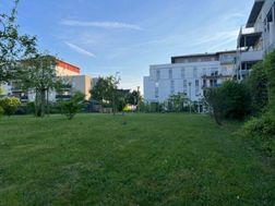 Photo n°2
