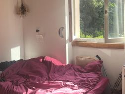Photo n°4