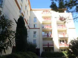 Photo n°1
