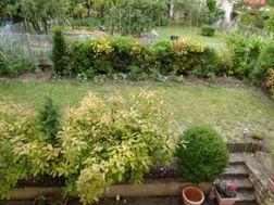 Photo n°6