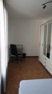 Photo n°6