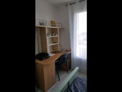 Photo n°6