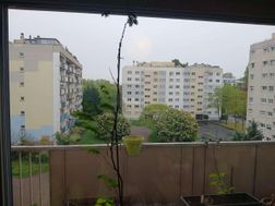 Photo n°4