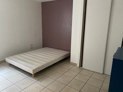 Photo n°6