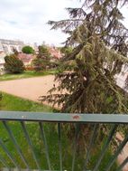 Photo n°8