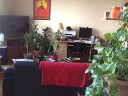 Photo n°4