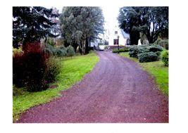 Photo n°1
