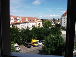 Photo n°4