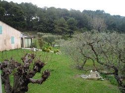 Photo n°2
