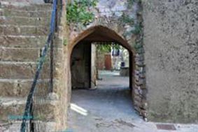 Photo n°6