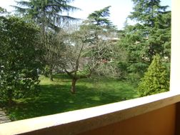 Photo n°1