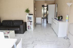 Photo n°4