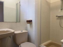 Photo n°12