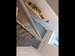Photo n°38