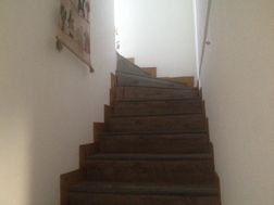 Photo n°4