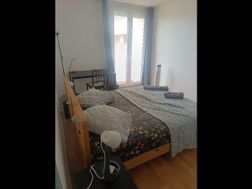 Photo n°6