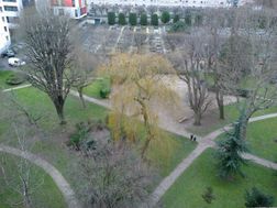 Photo n°1