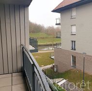 Photo n°8