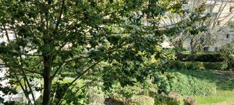 Photo n°5